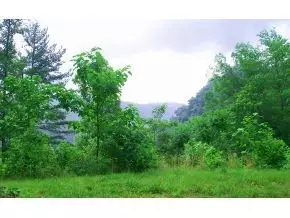 146 Browns Branch Road Hampton Tn 37658, Hampton, TN 37658 photo 5