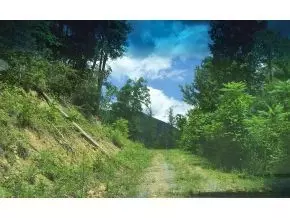 146 Browns Branch Road Hampton Tn 37658, Hampton, TN 37658 photo 4