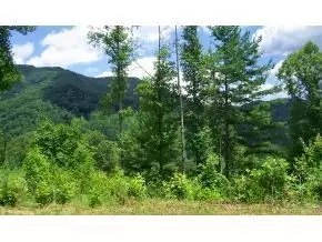 146 Browns Branch Road Hampton Tn 37658, Hampton, TN 37658 photo 6
