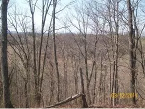 131 Cliff Drive Gray Tn 37615, Gray, TN 37615 photo 5