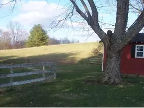 100 Old Baxter Road Fall Branch Tn 37656, Fall Branch, TN 37656 photo 22