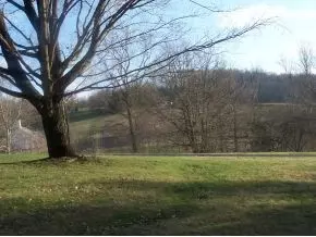 100 Old Baxter Road Fall Branch Tn 37656, Fall Branch, TN 37656 photo 23