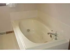 556 Opie Arnold Road Limestone Tn 37681, Limestone, TN 37681 photo 16