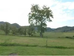 210 Robin Drive Bristol Tn 37620, Bristol, TN 37620 photo 2