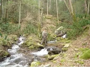 1061 Tumbling Creek Road Erwin Tn 37650, Erwin, TN 37650 photo 3