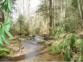 1061 Tumbling Creek Road Erwin Tn 37650, Erwin, TN 37650 photo 8