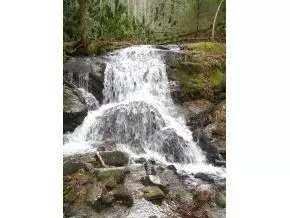 1061 Tumbling Creek Road Erwin Tn 37650, Erwin, TN 37650 photo 1