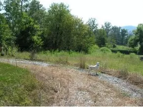 1950 Conklin Road Limestone Tn 37681, Limestone, TN 37681 photo 2