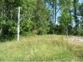 1950 Conklin Road Limestone Tn 37681, Limestone, TN 37681 photo 3