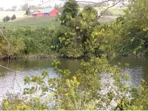 211 O O Moore Road Chuckey Tn 37641, Chuckey, TN 37641 photo 23