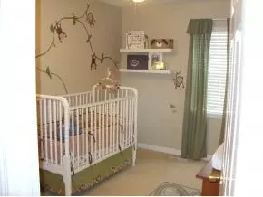 228 Springview Gray Tn 37615, Gray, TN 37615 photo 6