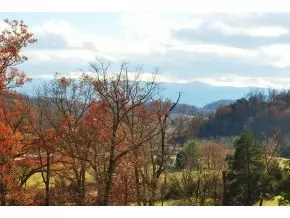 102 Ridges Court Chuckey Tn 37641, Chuckey, TN 37641 photo 22