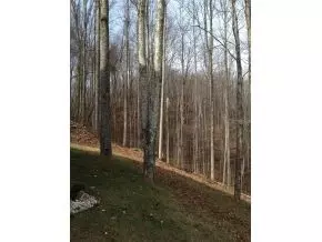 6901 Redwine Road Wise Va 24293, Wise, VA 24293 photo 22