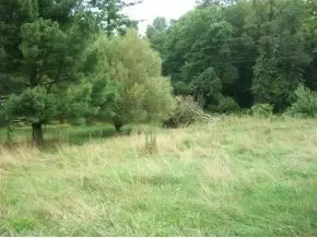 6621 Redwine Road Wise Va 24293, Wise, VA 24293 photo 3