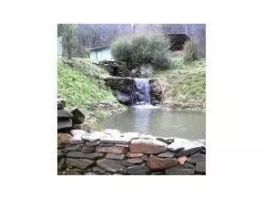 1902 Edwards Branch Road Flag Pond Tn 37657, Flag Pond, TN 37657 photo 2