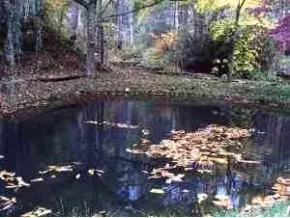 1902 Edwards Branch Road Flag Pond Tn 37657, Flag Pond, TN 37657 photo 4