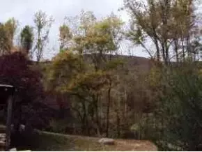 1902 Edwards Branch Road Flag Pond Tn 37657, Flag Pond, TN 37657 photo 3