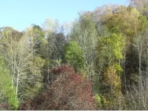 1902 Edwards Branch Road Flag Pond Tn 37657, Flag Pond, TN 37657 photo 9