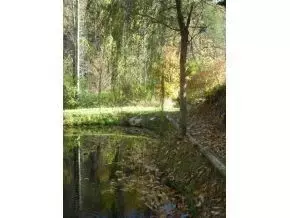 1902 Edwards Branch Road Flag Pond Tn 37657, Flag Pond, TN 37657 photo 22