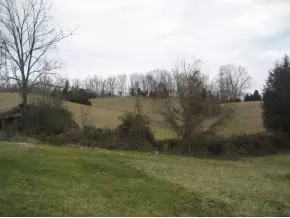 328 Oak Glen Circle Fall Branch Tn 37656, Fall Branch, TN 37656 photo 9