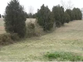 328 Oak Glen Circle Fall Branch Tn 37656, Fall Branch, TN 37656 photo 2