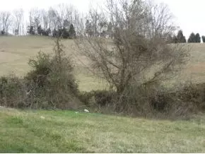 328 Oak Glen Circle Fall Branch Tn 37656, Fall Branch, TN 37656 photo 3