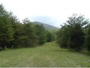 312 Painter Creek Road Chuckey Tn 37641, Chuckey, TN 37641 photo 22