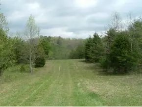312 Painter Creek Road Chuckey Tn 37641, Chuckey, TN 37641 photo 19