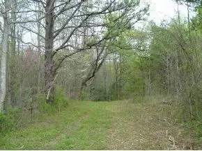312 Painter Creek Road Chuckey Tn 37641, Chuckey, TN 37641 photo 24