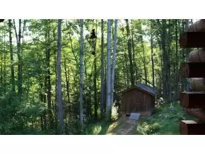 235 Tall Pine Road Erwin Tn 37650, Erwin, TN 37650 photo 10