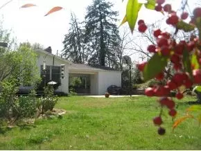 705 Forest Avenue Johnson City Tn 37601, Johnson City, TN 37601 photo 20
