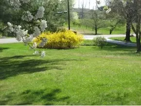 705 Forest Avenue Johnson City Tn 37601, Johnson City, TN 37601 photo 3