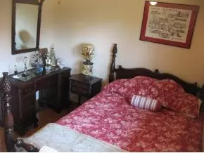 705 Forest Avenue Johnson City Tn 37601, Johnson City, TN 37601 photo 7