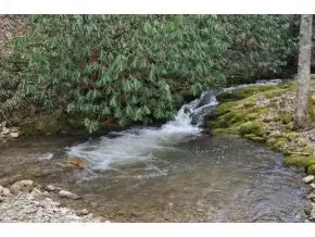 253 Tumbling Creek Erwin Tn 37650, Erwin, TN 37650 photo 22