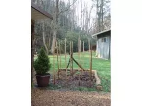 253 Tumbling Creek Erwin Tn 37650, Erwin, TN 37650 photo 6