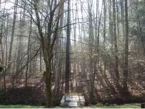 253 Tumbling Creek Erwin Tn 37650, Erwin, TN 37650 photo 9
