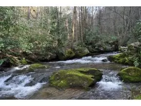 253 Tumbling Creek Erwin Tn 37650, Erwin, TN 37650 photo 12
