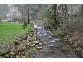 253 Tumbling Creek Erwin Tn 37650, Erwin, TN 37650 photo 11