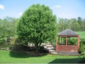 222 Mcgill Road Chuckey Tn 37641, Chuckey, TN 37641 photo 12