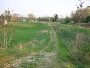 1119 Knowling Loop Talbott Tn 37877, Talbott, TN 37877 photo 2