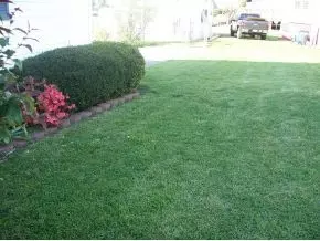 329 Catawba Street Erwin Tn 37650, Erwin, TN 37650 photo 15