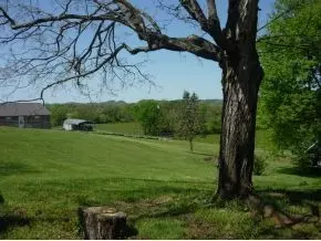 3741 Old State Route 34 Limestone Tn 37681, Limestone, TN 37681 photo 5