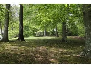 1704 Beech Drive Johnson City Tn 37604, Johnson City, TN 37604 photo 17
