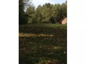 1151 Hickory Tree Road Bristol Tn 37620, Bristol, TN 37620 photo 3