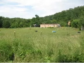 453 Cassi Chuckey Tn 37641, Chuckey, TN 37641 photo 3