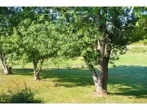 556 Kiser Loop Greeneville Tn 37743, Greeneville, TN 37743 photo 16