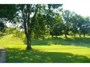 556 Kiser Loop Greeneville Tn 37743, Greeneville, TN 37743 photo 14