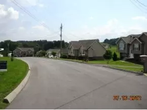 2089 Buttercup Lane Limestone Tn 37681, Limestone, TN 37681 photo 20