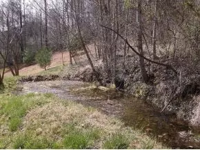 375 Stout Hollow Hampton Tn 37658, Hampton, TN 37658 photo 4