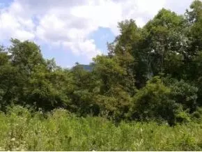 375 Stout Hollow Hampton Tn 37658, Hampton, TN 37658 photo 10